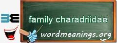 WordMeaning blackboard for family charadriidae